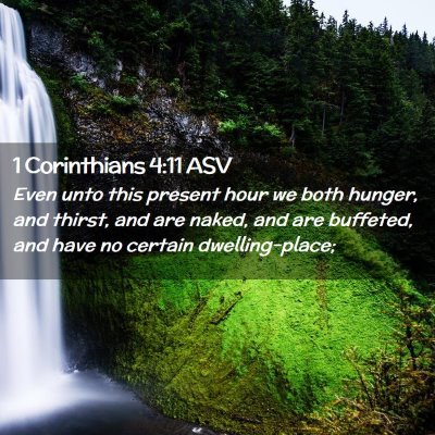 Picture 02 - 1 Corinthians 4:11 ASV - Even unto this present hour we both hunger, and - Bible Verse Picture