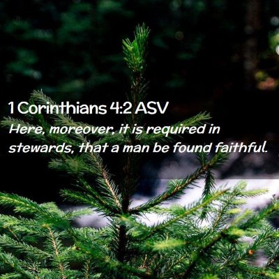 Picture 02 - 1 Corinthians 4:2 ASV - Here, moreover, it is required in stewards, that - Bible Verse Picture