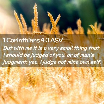 Picture 02 - 1 Corinthians 4:3 ASV - But with me it is a very small thing that I - Bible Verse Picture