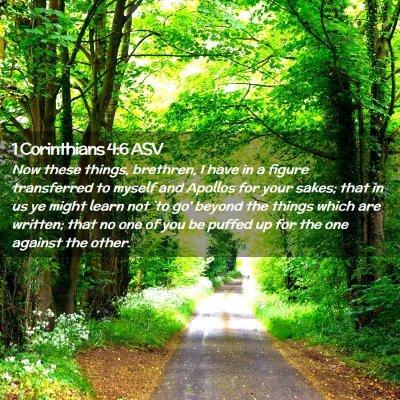 Picture 02 - 1 Corinthians 4:6 ASV - Now these things, brethren, I have in a figure - Bible Verse Picture