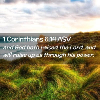 Picture 02 - 1 Corinthians 6:14 ASV - and God both raised the Lord, and will raise up - Bible Verse Picture