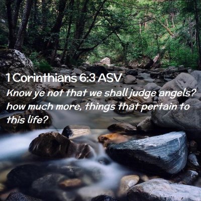Picture 02 - 1 Corinthians 6:3 ASV - Know ye not that we shall judge angels? how much - Bible Verse Picture