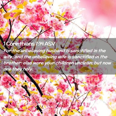 Picture 02 - 1 Corinthians 7:14 ASV - For the unbelieving husband is sanctified in the - Bible Verse Picture