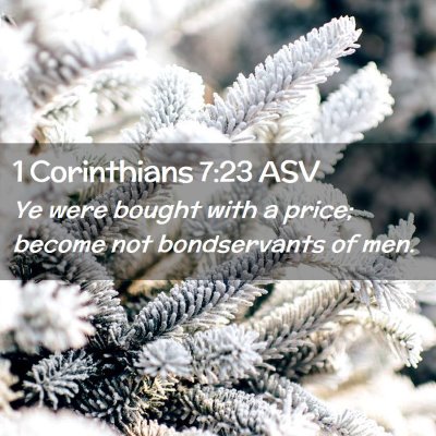 Picture 02 - 1 Corinthians 7:23 ASV - Ye were bought with a price; become not - Bible Verse Picture