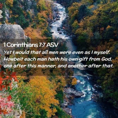 Picture 02 - 1 Corinthians 7:7 ASV - Yet I would that all men were even as I myself. - Bible Verse Picture
