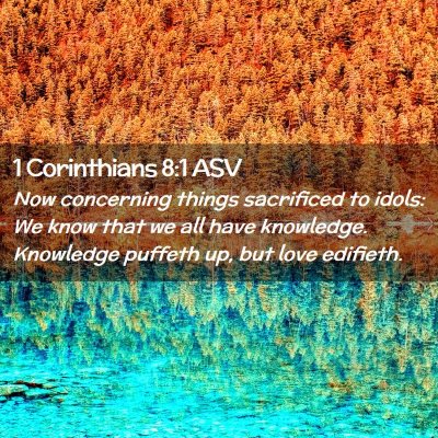 Picture 02 - 1 Corinthians 8:1 ASV - Now concerning things sacrificed to idols: We - Bible Verse Picture