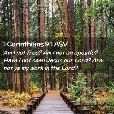 Picture 02 - 1 Corinthians 9:1 ASV - Am I not free? Am I not an apostle? Have I not - Bible Verse Picture