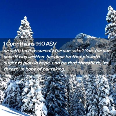 Picture 02 - 1 Corinthians 9:10 ASV - or saith he it assuredly for our sake? Yea, for - Bible Verse Picture