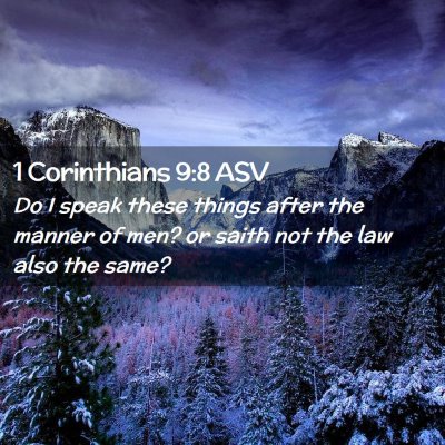 Picture 02 - 1 Corinthians 9:8 ASV - Do I speak these things after the manner of men? - Bible Verse Picture