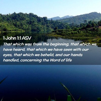 Picture 02 - 1 John 1:1 ASV - That which was from the beginning, that which we - Bible Verse Picture