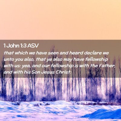 Picture 02 - 1 John 1:3 ASV - that which we have seen and heard declare we unto - Bible Verse Picture