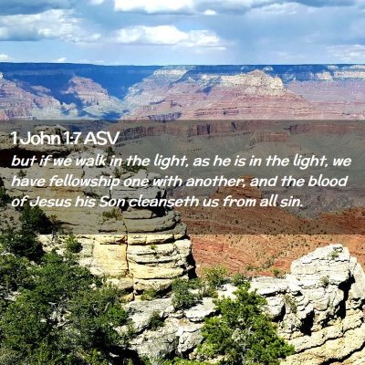 Picture 02 - 1 John 1:7 ASV - but if we walk in the light, as he is in the - Bible Verse Picture