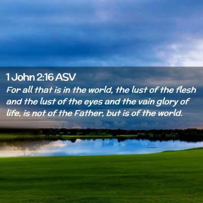 Picture 02 - 1 John 2:16 ASV - For all that is in the world, the lust of the - Bible Verse Picture