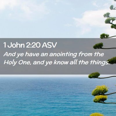 Picture 02 - 1 John 2:20 ASV - And ye have an anointing from the Holy One, and - Bible Verse Picture