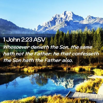 Picture 02 - 1 John 2:23 ASV - Whosoever denieth the Son, the same hath not the - Bible Verse Picture