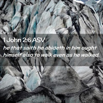 Picture 02 - 1 John 2:6 ASV - he that saith he abideth in him ought himself - Bible Verse Picture