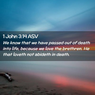 Picture 02 - 1 John 3:14 ASV - We know that we have passed out of death into - Bible Verse Picture