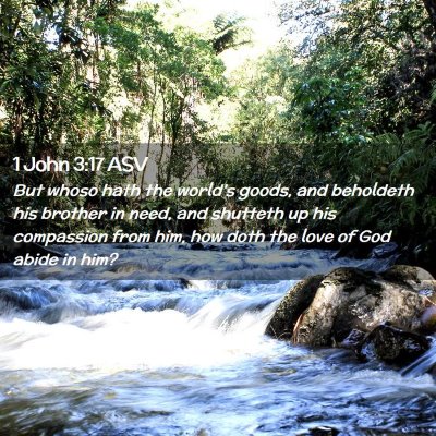 Picture 02 - 1 John 3:17 ASV - But whoso hath the world's goods, and beholdeth - Bible Verse Picture
