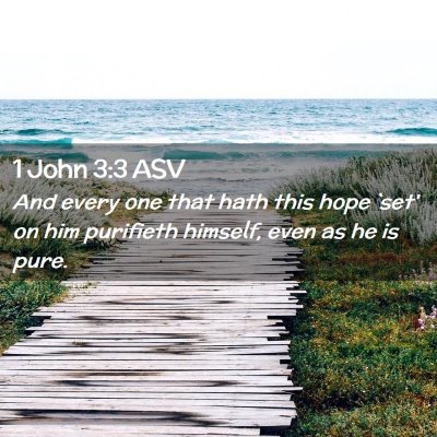 Picture 02 - 1 John 3:3 ASV - And every one that hath this hope `set' on him - Bible Verse Picture