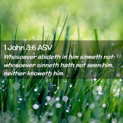 Picture 02 - 1 John 3:6 ASV - Whosoever abideth in him sinneth not: whosoever - Bible Verse Picture