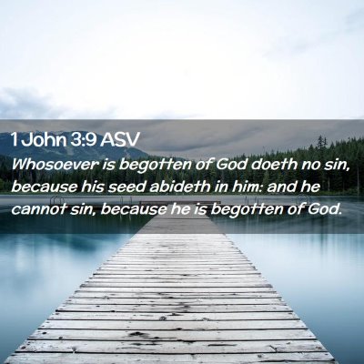 Picture 02 - 1 John 3:9 ASV - Whosoever is begotten of God doeth no sin, - Bible Verse Picture