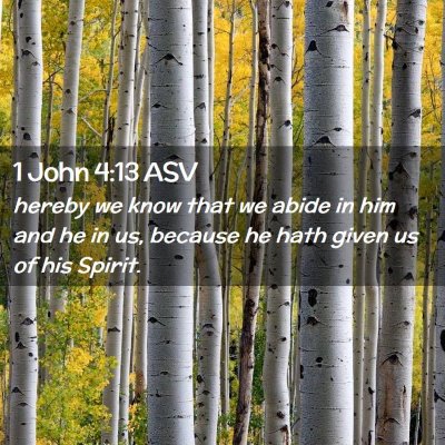Picture 02 - 1 John 4:13 ASV - hereby we know that we abide in him and he in us, - Bible Verse Picture