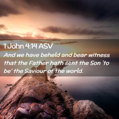 Picture 02 - 1 John 4:14 ASV - And we have beheld and bear witness that the - Bible Verse Picture