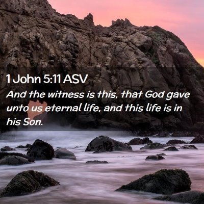 Picture 02 - 1 John 5:11 ASV - And the witness is this, that God gave unto us - Bible Verse Picture