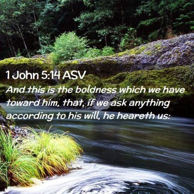 Picture 02 - 1 John 5:14 ASV - And this is the boldness which we have toward - Bible Verse Picture