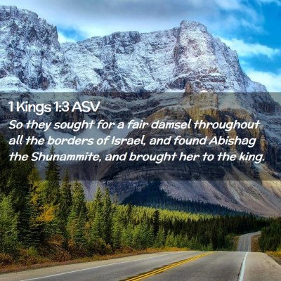 Picture 02 - 1 Kings 1:3 ASV - So they sought for a fair damsel throughout all - Bible Verse Picture
