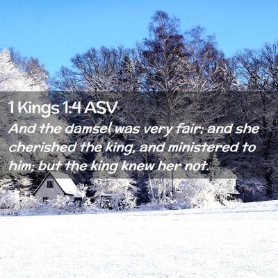 Picture 02 - 1 Kings 1:4 ASV - And the damsel was very fair; and she cherished - Bible Verse Picture