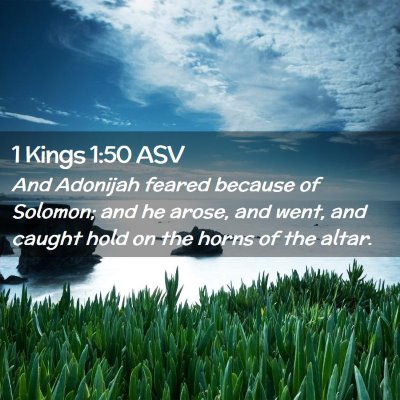 Picture 02 - 1 Kings 1:50 ASV - And Adonijah feared because of Solomon; and he - Bible Verse Picture