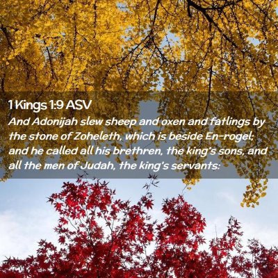 Picture 02 - 1 Kings 1:9 ASV - And Adonijah slew sheep and oxen and fatlings by - Bible Verse Picture