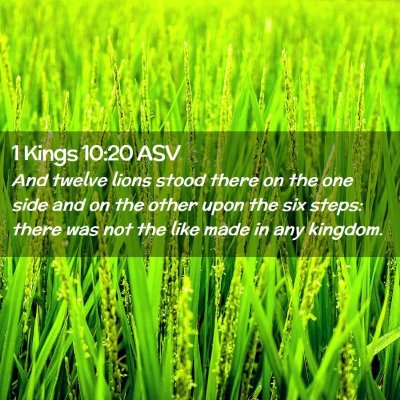 Picture 02 - 1 Kings 10:20 ASV - And twelve lions stood there on the one side and - Bible Verse Picture