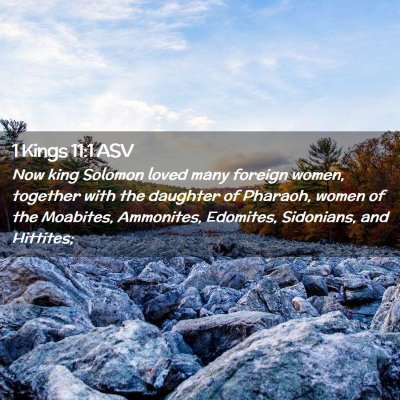 Picture 02 - 1 Kings 11:1 ASV - Now king Solomon loved many foreign women, - Bible Verse Picture