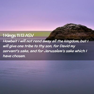 Picture 02 - 1 Kings 11:13 ASV - Howbeit I will not rend away all the kingdom; but - Bible Verse Picture