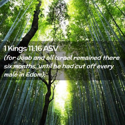 Picture 02 - 1 Kings 11:16 ASV - (for Joab and all Israel remained there six - Bible Verse Picture