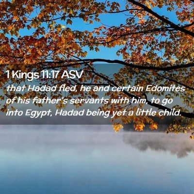 Picture 02 - 1 Kings 11:17 ASV - that Hadad fled, he and certain Edomites of his - Bible Verse Picture