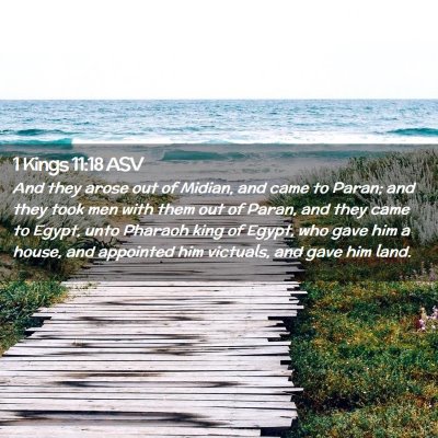 Picture 02 - 1 Kings 11:18 ASV - And they arose out of Midian, and came to Paran; - Bible Verse Picture