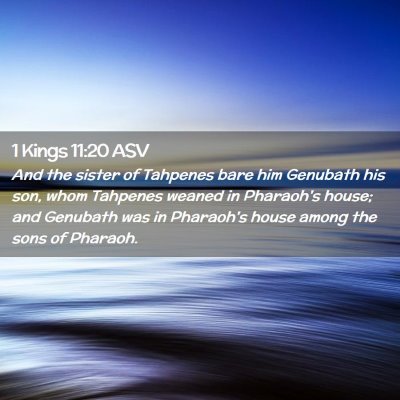 Picture 02 - 1 Kings 11:20 ASV - And the sister of Tahpenes bare him Genubath his - Bible Verse Picture