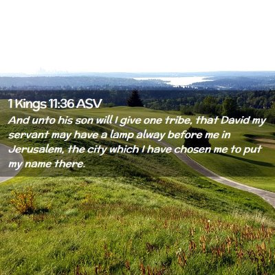 Picture 02 - 1 Kings 11:36 ASV - And unto his son will I give one tribe, that - Bible Verse Picture