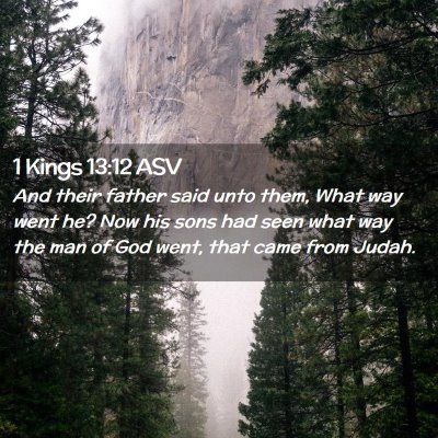 Picture 02 - 1 Kings 13:12 ASV - And their father said unto them, What way went - Bible Verse Picture