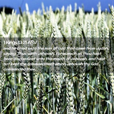 Picture 02 - 1 Kings 13:21 ASV - and he cried unto the man of God that came from - Bible Verse Picture