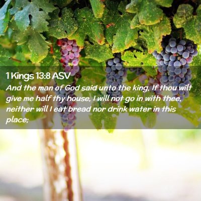 Picture 02 - 1 Kings 13:8 ASV - And the man of God said unto the king, If thou - Bible Verse Picture