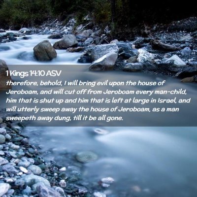 Picture 02 - 1 Kings 14:10 ASV - therefore, behold, I will bring evil upon the - Bible Verse Picture