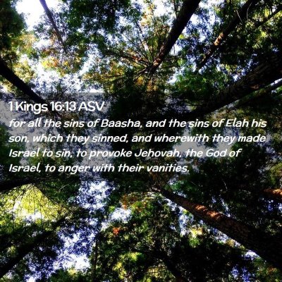 Picture 02 - 1 Kings 16:13 ASV - for all the sins of Baasha, and the sins of Elah - Bible Verse Picture