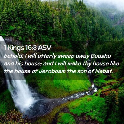 Picture 02 - 1 Kings 16:3 ASV - behold, I will utterly sweep away Baasha and his - Bible Verse Picture