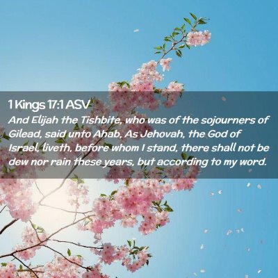 Picture 02 - 1 Kings 17:1 ASV - And Elijah the Tishbite, who was of the - Bible Verse Picture
