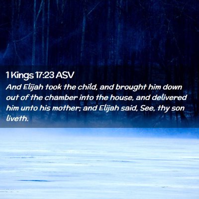 Picture 02 - 1 Kings 17:23 ASV - And Elijah took the child, and brought him down - Bible Verse Picture