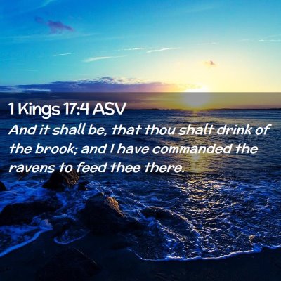 Picture 02 - 1 Kings 17:4 ASV - And it shall be, that thou shalt drink of the - Bible Verse Picture